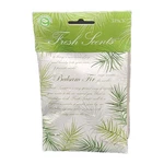 Fresh Scents Balsam Fir Christmas Holiday 3 Pack Large Sachets New. Fixed Price $18.00.