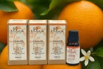 4X 2 Homedics Ellia Orange Essential Oil 100% Pure Therapeutic Grade (0.5 Fl. Fixed Price $25.98.