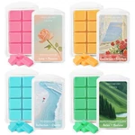 Strn Wax Melts, Energy Healing Scented Soy Cubes For Warmer, Home, Sp.... Fixed Price $18.42.