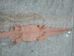 Genuine Wild American Alligator Leather Swamp Skin Hide Case Trophy NV14. Fixed Price $439.00.