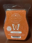 Coral Waters #65993 - Scentsy Wax Bar Free Shipping. Fixed Price $11.75.