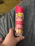 1994 Renuzit Air Spray With Naughty Picture (man Private Part). Fixed Price $80.00.
