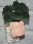 Bath & Body Works Wallflower Home Plugin Fragrance Pink Houseplant Green. Fixed Price $19.95.
