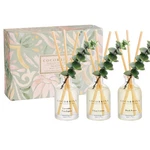 Cocorr Na Reed Diffuser Set Of 3 - Lavender Eucalyptus, Clear. Fixed Price $31.64.