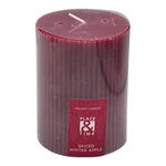 Place & Time Spiced Winter Apple Pillar Candle Holiday Red Christmas 3" X 4". Fixed Price $11.99.