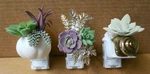Bath & Body Works Wallflowers Diffuser Plug In Succulent/botanicals X3 Nwt. Fixed Price $59.99.