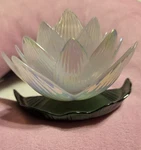Bath And Body Works Wallflowers Collaboration Disney's Princess (tiana) Nip. Fixed Price $32.99.