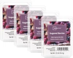 Lot Of Lilac Breeze Scented Wax Melts 6 Cubes Each, 24 Total, Mainstays. Fixed Price $17.88.