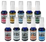 Scent Bomb 100% Concentrated Car Air Freshener Sprays, Choose Your. Fixed Price $10.98.