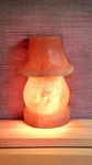 Natural Himalayan Salt Lamp Air Purifier Nights Lights. Fixed Price $150.00.