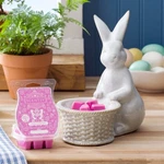 Match Sotm 2024 - Scentsy Happy Hare Warmer With Free Cotton Candy Tails Wax Bar. Fixed Price $60.00.