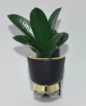 Bath & Body Works Sleek Botanical Plant Wallflower Fragrance Plug Holder. Fixed Price $17.99.