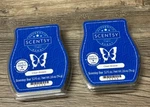Scentsy Wax Bar Clean Breeze 3.2 Fl Oz New. Fixed Price $14.99.