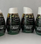 2 Renuzit Special Edition Evergreen Magic Scent Solid Gel Air Freshener 7.0 Oz.. Fixed Price $20.00.
