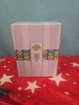 Scentsy "home Where My Cat Is" Mini Warmer Night Light Wall Plug New. Fixed Price $25.00.