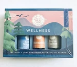 Woolzies Wellness Set 100% Pure Quality Essential Oil Blends 3 Pack, 10ML Ea.. Fixed Price $24.99.
