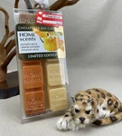 Chesapeake Bay Candle Home Scents Wax Melts Caramel Pumpkin Spice Cinnamon Stic. Fixed Price $19.99.