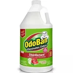 Odoban Gal. Cucumber Melon Disinfectant, Laundry And Air Freshener (1 Pack). Fixed Price $9.99.