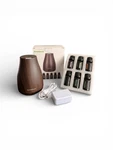 Innogear Aromatherapy Diffuser W/essential Oils, Ultrasonic, Compact Home/office. Fixed Price $15.99.