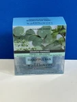 Bath & Body Works "eucalyptus Rain" Wallflowers Fragrance Refills 2-PK 0.8. Fixed Price $12.99.