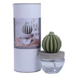 Pretty Valley Home Reed Set Ceramic Cactus Fragrance Diffuser-white .... Fixed Price $59.71.