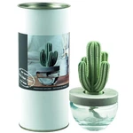 Pretty Valley Home Gypsum Cactus Fragrance Diffuser-cutting Grass. Fixed Price $79.79.
