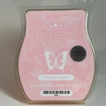 Scentsy Bar Strawberry Swirl Wax Melt 2.6 Oz 74G Of The Month 38001 New. Fixed Price $8.00.