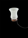 Scentsy Lampshade White Crackle Tulip + Narrow Base Wax Warmer Bronze. Fixed Price $30.00.