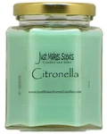 Citronella Scented Blended Soy Candle For Indoor Use By Just Makes Scents (ci.... Fixed Price $23.84.