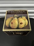 Westinghouse Scenterrific Fall Pumpkin Spice Waxless Fragrance Electric Warmer. Fixed Price $27.95.