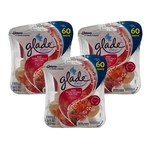 Glade Plugins Scented Oil (6) Refills Red Honeysuckle Nectar Discontinued. Fixed Price $48.00.