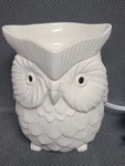 Scentsy Full Size Whoot Owl Ceramic Plug Candle Wax Warmer Discontinued 19866. Fixed Price $34.95.