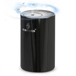 Sentiment Diffuser, Diffusers For Home, Scent - Bright Black. Fixed Price $23.69.