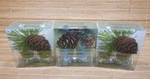 Lot Of 3 - Bath & Body Works Wallflowers Refills Fresh Balsam, 6 Bulbs Total. Fixed Price $34.95.