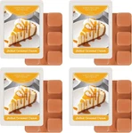 Strn Wax Melts Soy Cubes 4 Pack Salted Caramel Cream Scented, Long-lasting F. Fixed Price $13.31.