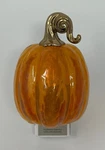 Bath & Body Works Pumpkin Scent Control Night Light Up Wallflower Plug Holder. Fixed Price $16.99.