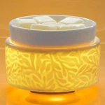 Wax Warmer Ceramic Candle Melter Electric For Scen.... Fixed Price $27.71.