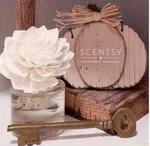 Scentsy Fragrance Flower New In Box Blue Grotto. Fixed Price $19.99.