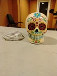 Scentsationals Dia Los Muertos Day Of The Dead Plug-in Wax Melter Full Size. Fixed Price $13.99.