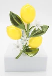 (1) Bath & Body Works Lemon Branch Bough Scent Control Light Up Plugin New. Fixed Price $15.99.