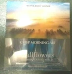 Crisp Morning Air Wallflower Bath And Body Works 2 Pack Refills.. Fixed Price $16.99.