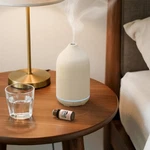 Salking 200ML Ceramic Essential Oil Diffuser, Stone Diffusers For White. Fixed Price $30.00.