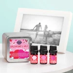 Scentsy Valentines Day Oil 3-PACK Essential 5ML -berries-roses-new Lover. Fixed Price $20.00.