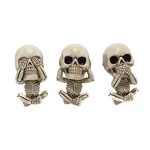 3PCS Air Freshener Diffusers Bone Skull Perfume Car Auto Vent Fragrance Clip. Fixed Price $19.99.