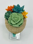 Bath & Body Works Succulent Basket Wallflower Scent Control Fragrance Plug. Fixed Price $24.99.