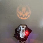 Bath Body Works Wallflower Plug Light Up Headless Horseman Bust Projector New. Fixed Price $39.99.