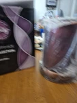 Scentsy Lampshade Collection Autumn Glow Glass Full Sz. Broad Base Fall Warmer. Fixed Price $30.00.