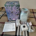 Scentsy Chasing Fireflies Full Size Warmer Pale Blue Mason Jar Nib Retired Htf. Fixed Price $25.00.
