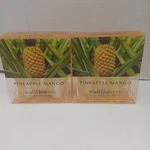 Bath & Body Works Wallflower Refill Bulbs Pineapple Mango X 4. Fixed Price $24.95.