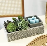 New Scentsy Suc-cute-lent Succulent Element Wax Warmer In Box. Fixed Price $22.99.
